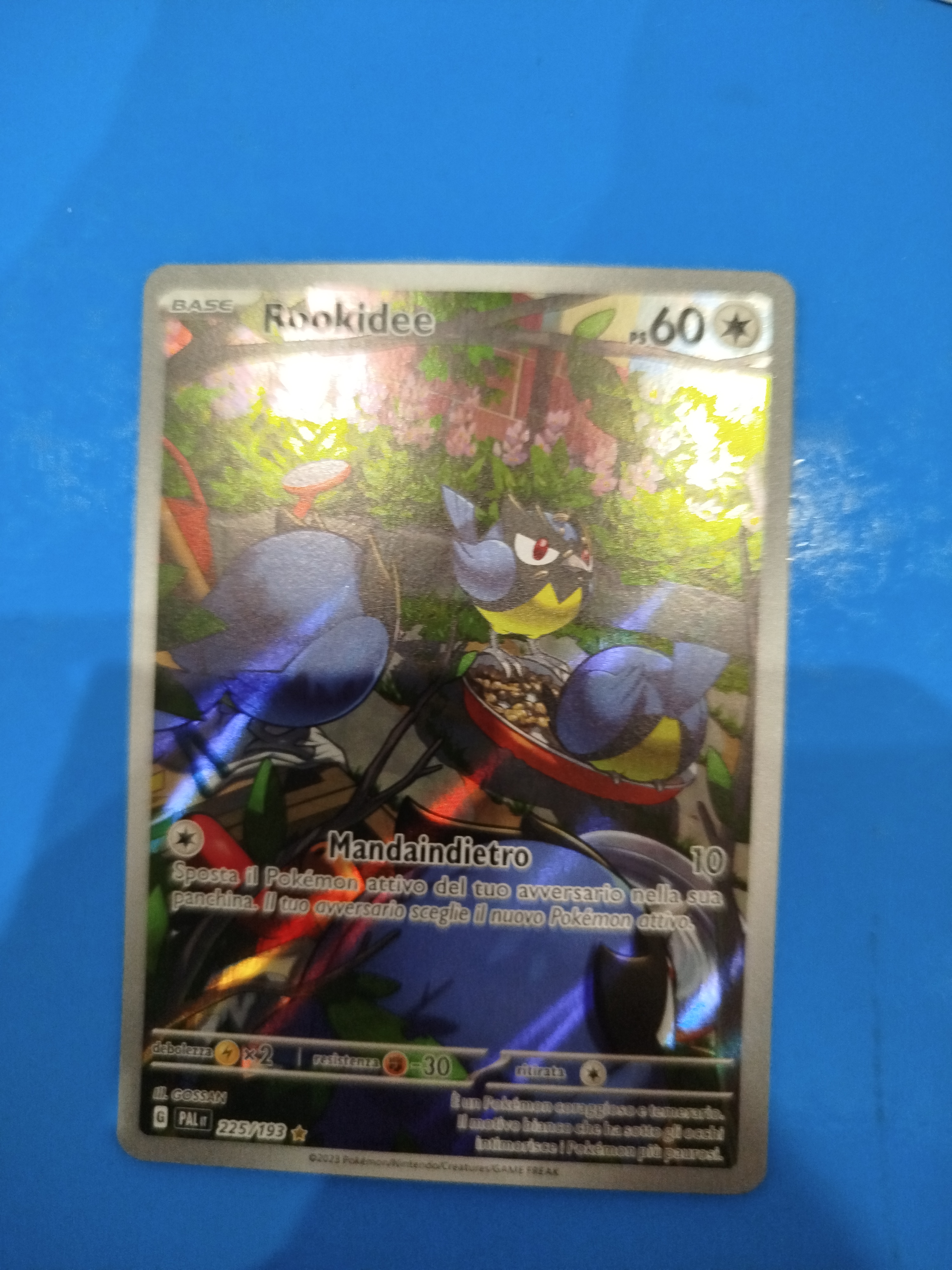 Auction Image 1