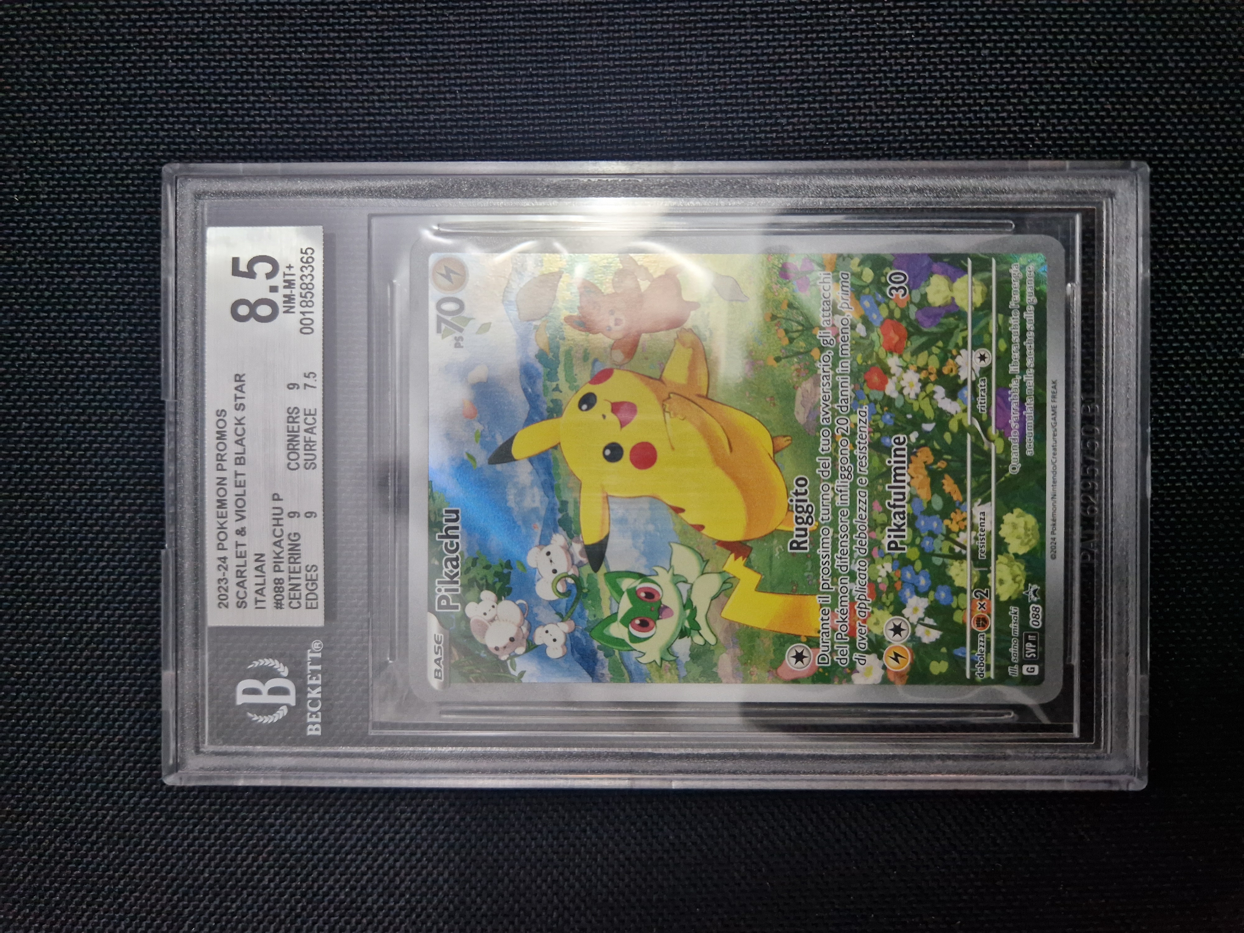 Auction Image 1