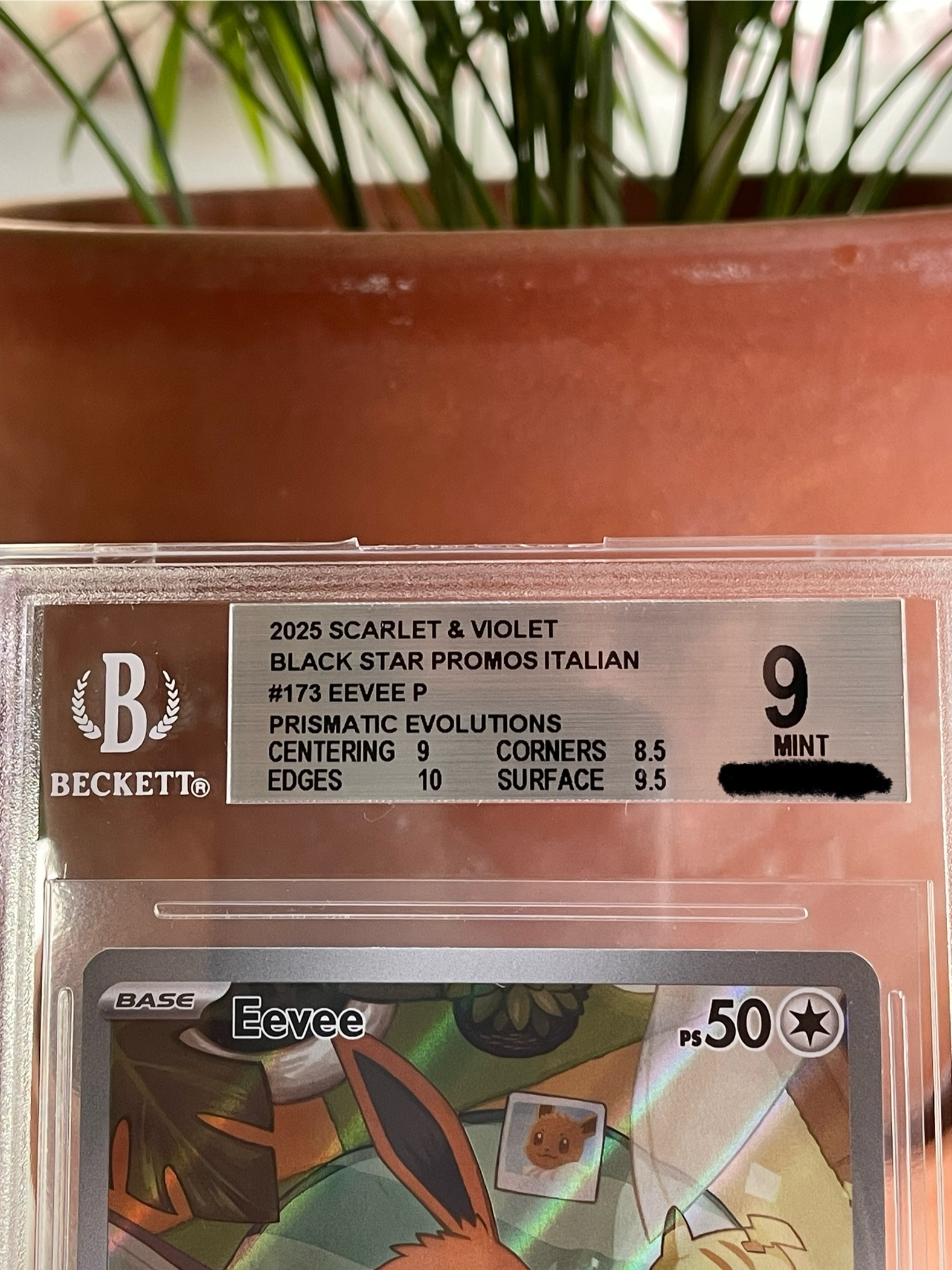 Auction Image 2