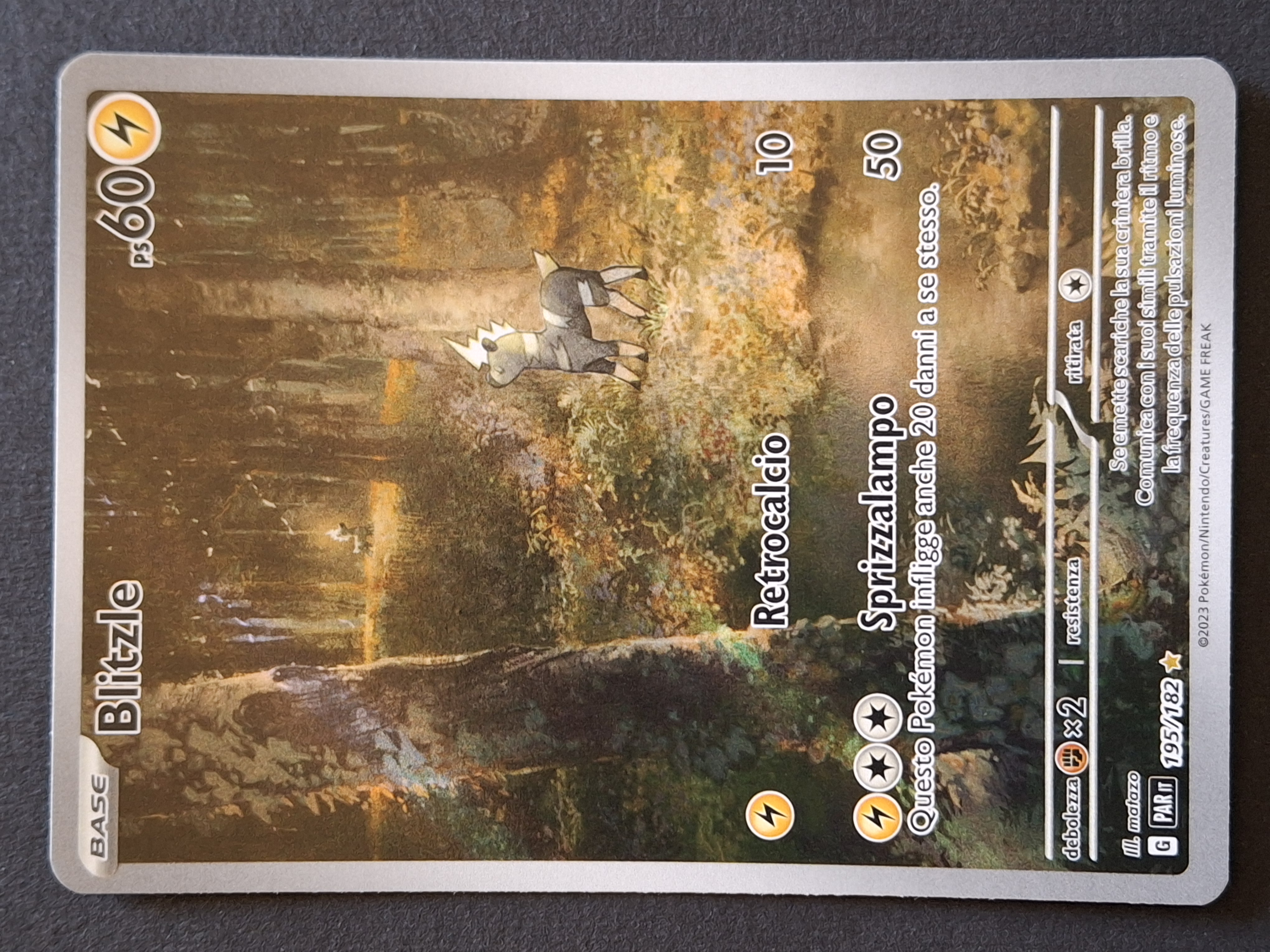 Auction Image 3