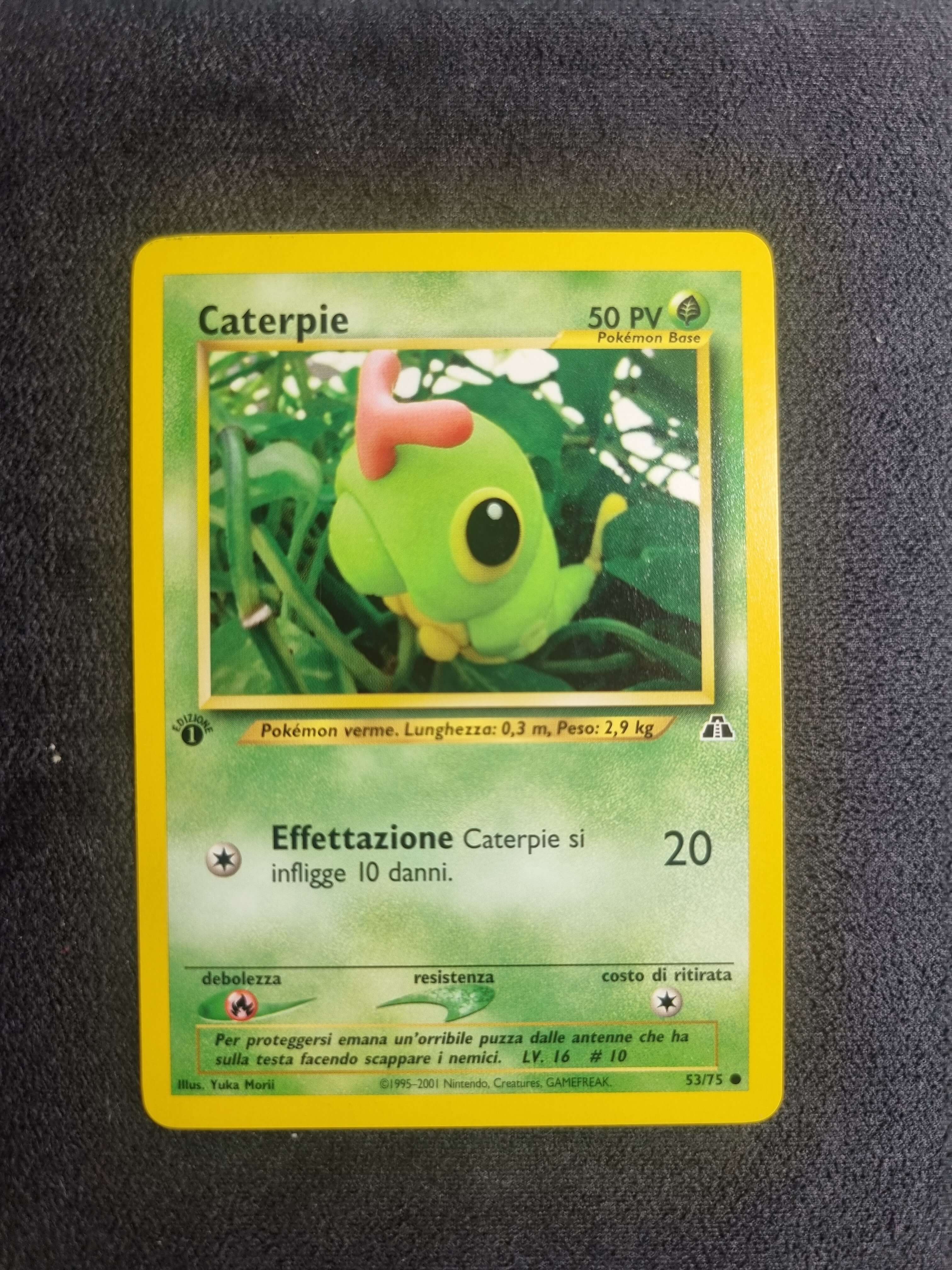 Auction Image 3